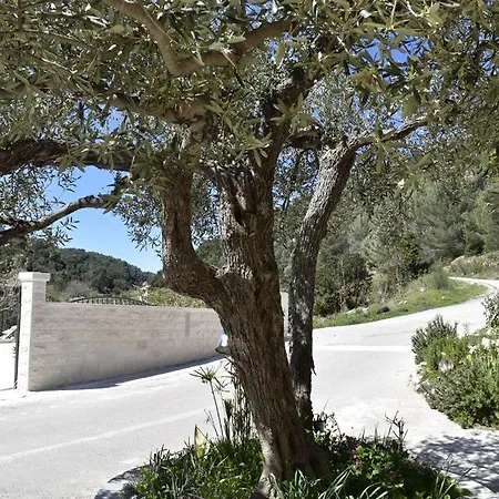 Renata * פוצ'ישצ'ה